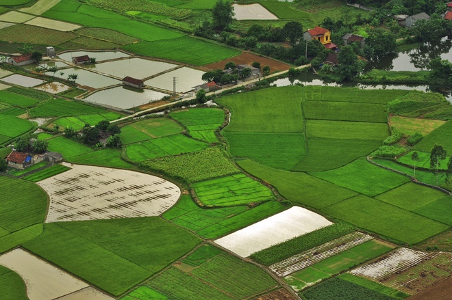 Đẹp[-]tuyệt[-]vời[-]thung[-]lũng[-]Bắc[-]Sơn[-]thời[-]điểm[-]sắp[-]vào[-]vụ[-]mùa